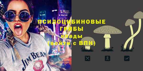 spice Киреевск